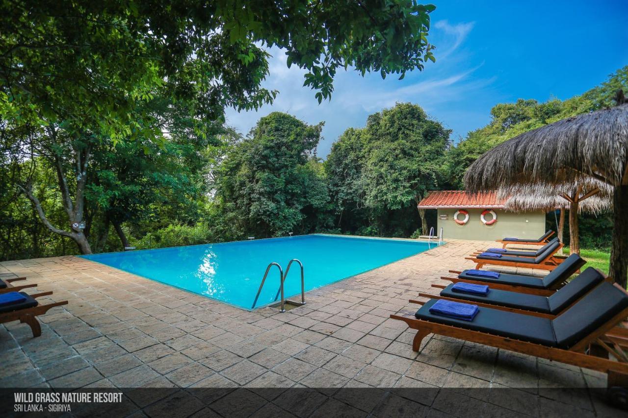 Wild Grass Nature Resort Sigiriya Exterior photo